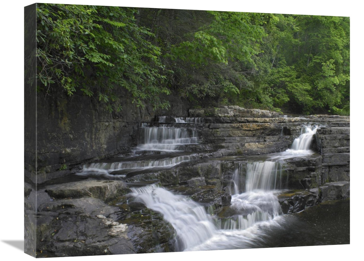 Global Gallery GCS-396294-1824-142 18 x 24 in. Dismal Falls, Jeffe