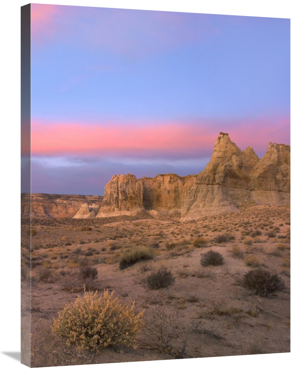 Global Gallery GCS-452135-2432-142 24 x 32 in. Kaiparowits Plateau&#44