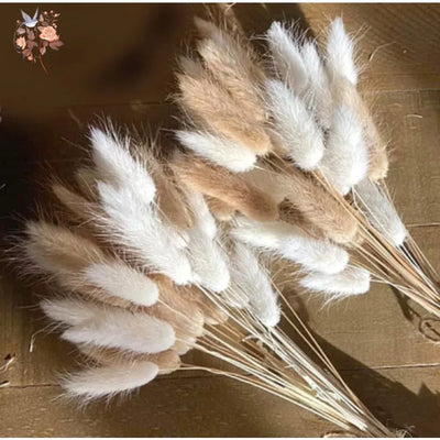 60Pcs Fluffy Bunny Rabbit Tails Grass Bouquet Boho Home Vase Decor