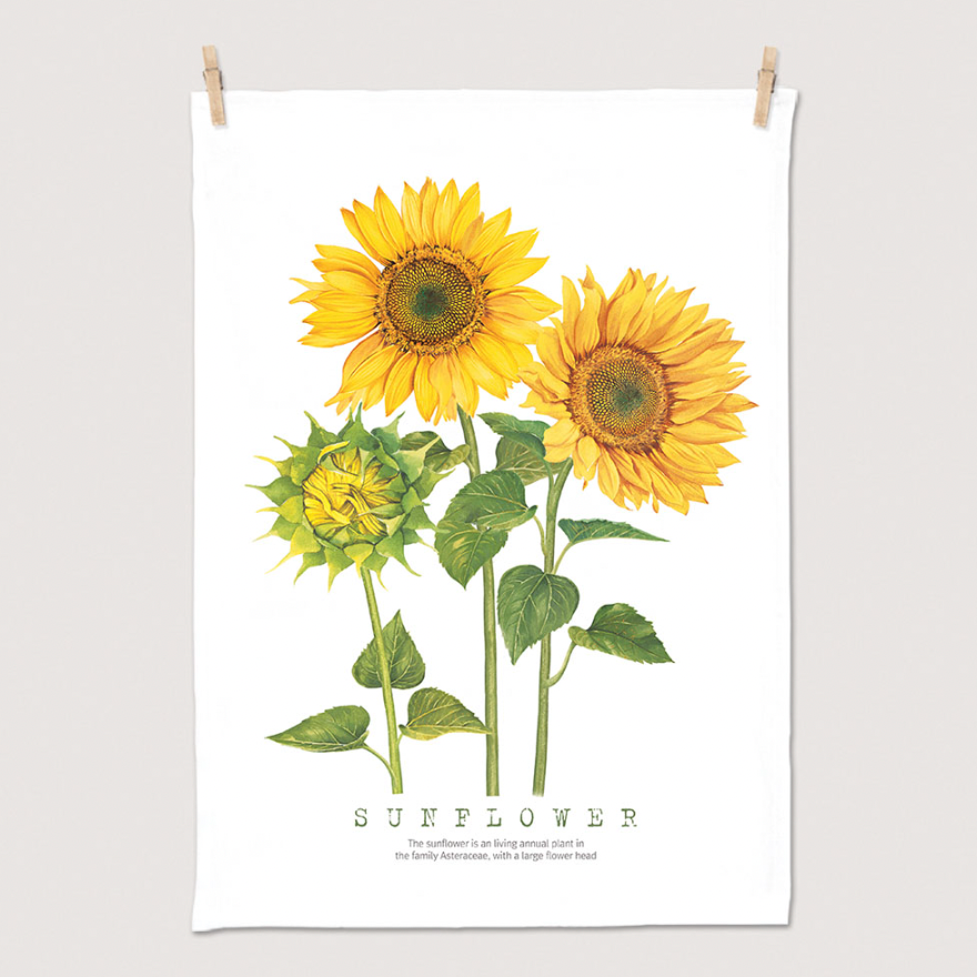 Sunflower 50cm x 70cm