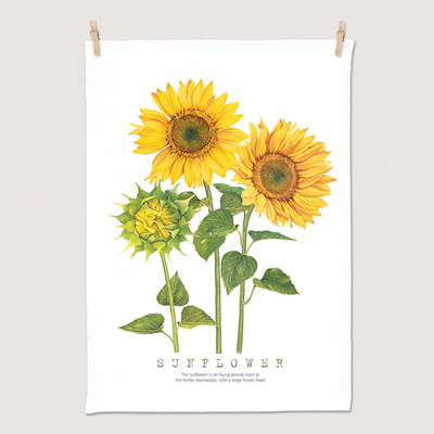 Sunflower 50cm x 70cm